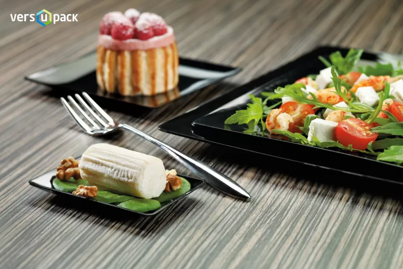 Disposable Outdoor Catering Tableware from Rigid Plastic