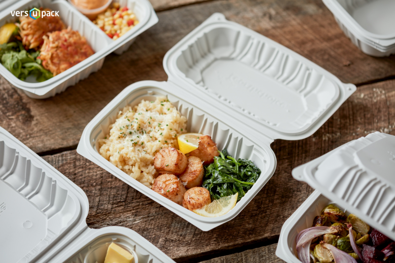 Eco-friendly hinged lid takeaway packaging