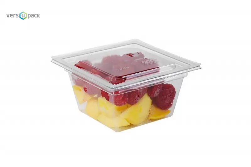 Single-use Deli containers To-Go, disposable salad containers for Takeaway and Takeout