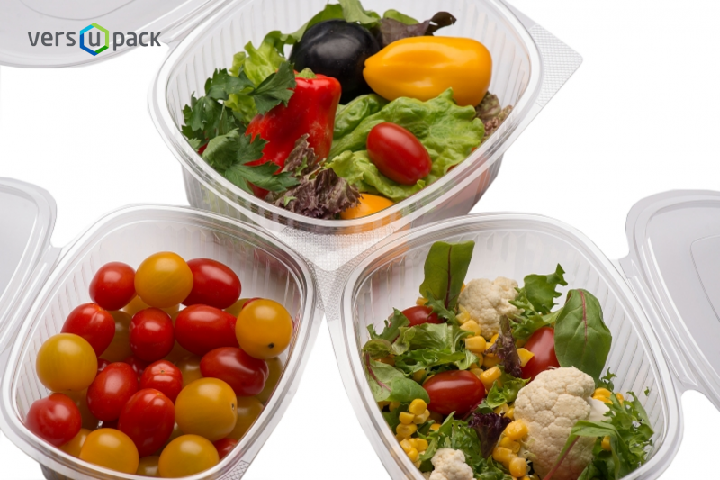 Disposable hinged lid salad containers. Food packaging for gastronomy and culinary.